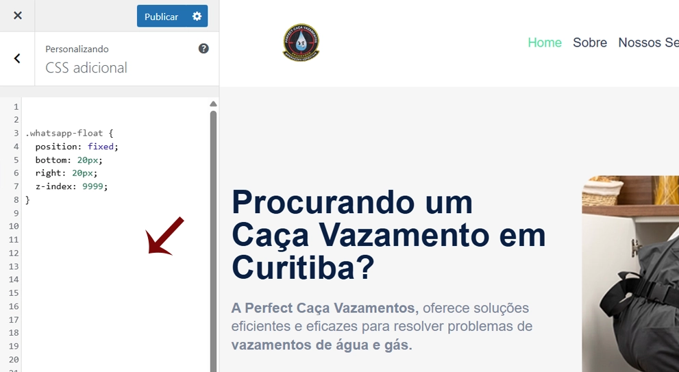 adiconar css no wordpress